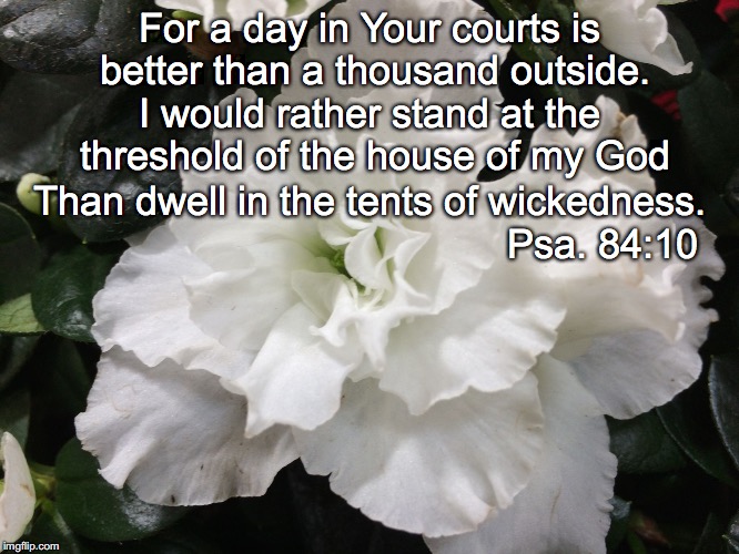 For a day in Your courts is better than a thousand outside. I would rather stand at the threshold of the house of my God; Than dwell in the tents of wickedness. Psa. 84:10 | image tagged in courts | made w/ Imgflip meme maker