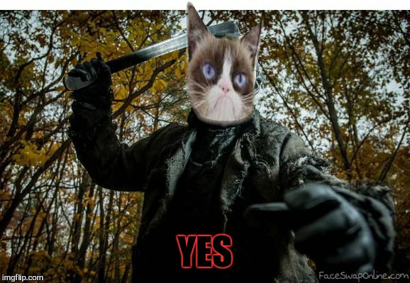 grumpy cat jason | YES | image tagged in grumpy cat jason | made w/ Imgflip meme maker