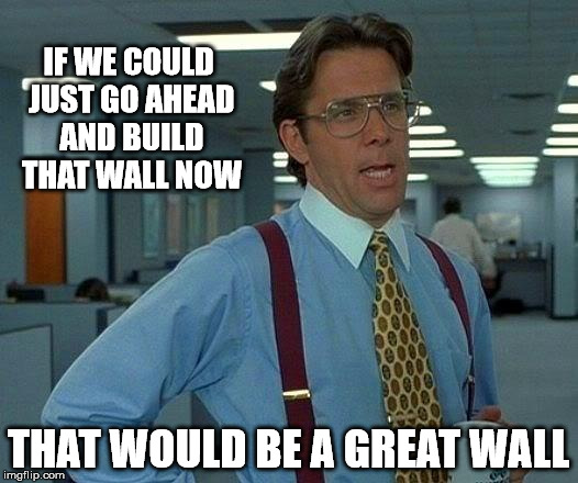Make Mexico a Great Neighbor | IF WE COULD JUST GO AHEAD AND BUILD THAT WALL NOW; THAT WOULD BE A GREAT WALL | image tagged in memes,that would be great | made w/ Imgflip meme maker