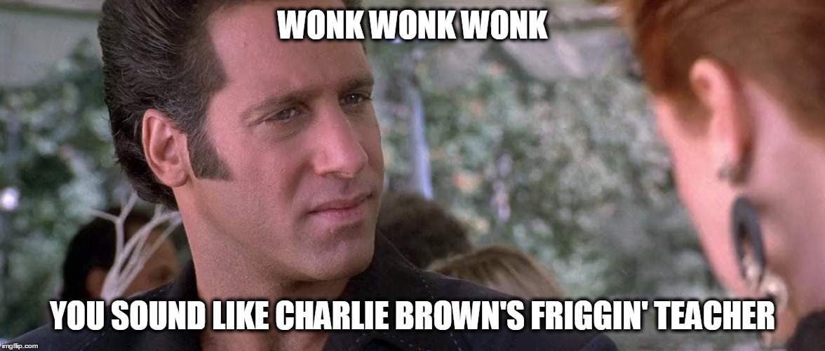 WONK WONK WONK; YOU SOUND LIKE CHARLIE BROWN'S FRIGGIN' TEACHER | made w/ Imgflip meme maker