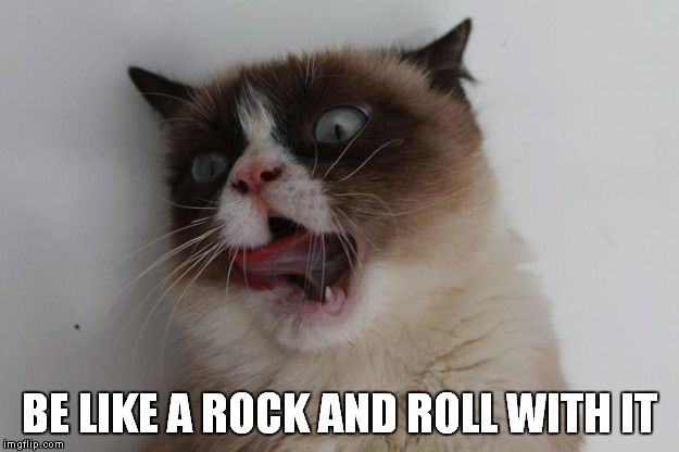BE LIKE A ROCK AND ROLL WITH IT | made w/ Imgflip meme maker