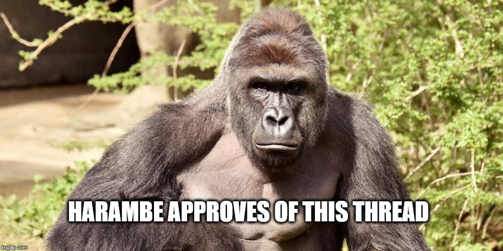 HARAMBE APPROVES OF THIS THREAD | made w/ Imgflip meme maker