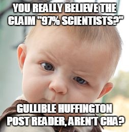 Skeptical Baby Meme | YOU REALLY BELIEVE THE CLAIM "97% SCIENTISTS?" GULLIBLE HUFFINGTON POST READER, AREN'T CHA? | image tagged in memes,skeptical baby | made w/ Imgflip meme maker