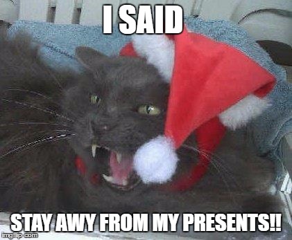 Holly Jolly Christmas Cat | I SAID; STAY AWY FROM MY PRESENTS!! | image tagged in holly jolly christmas cat | made w/ Imgflip meme maker