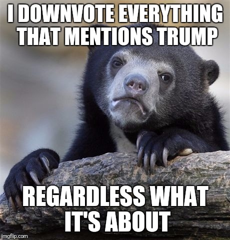 Confession Bear Meme | I DOWNVOTE EVERYTHING THAT MENTIONS TRUMP; REGARDLESS WHAT IT'S ABOUT | image tagged in memes,confession bear | made w/ Imgflip meme maker