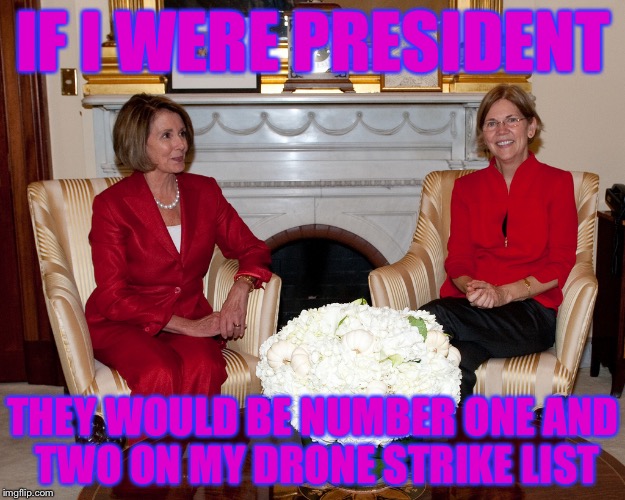 IF I WERE PRESIDENT; THEY WOULD BE NUMBER ONE AND TWO ON MY DRONE STRIKE LIST | image tagged in memes,elizabeth warren,nancy pelosi,political meme | made w/ Imgflip meme maker