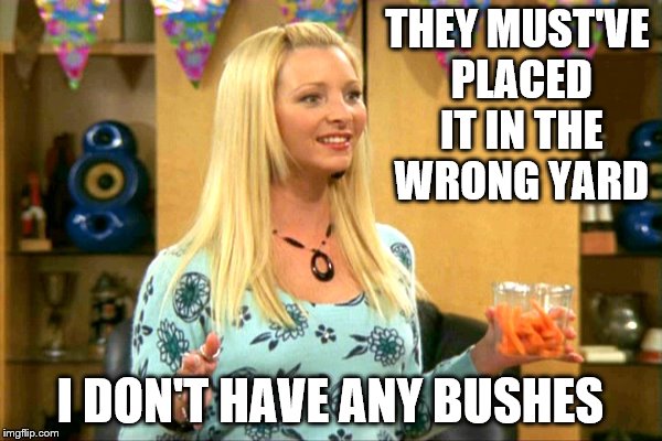 THEY MUST'VE PLACED IT IN THE WRONG YARD I DON'T HAVE ANY BUSHES | made w/ Imgflip meme maker