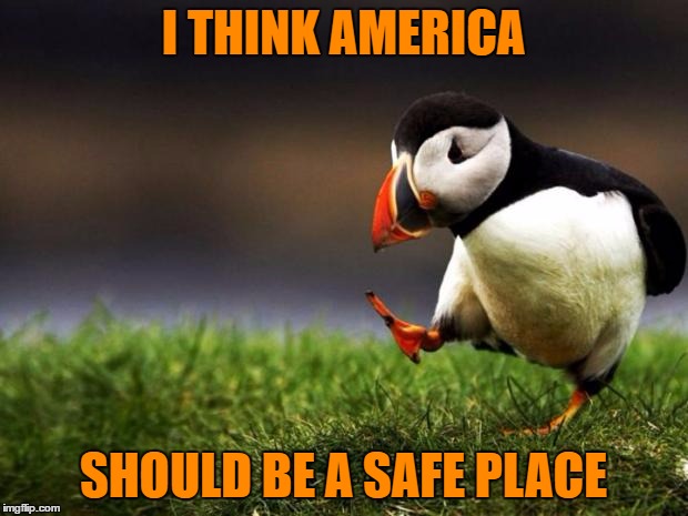 Unpopular Opinion Puffin | I THINK AMERICA; SHOULD BE A SAFE PLACE | image tagged in memes,unpopular opinion puffin | made w/ Imgflip meme maker