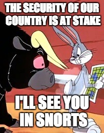 I'll See You in Snorts | THE SECURITY OF OUR COUNTRY IS AT STAKE; I'LL SEE YOU IN SNORTS | image tagged in bugs bunny,snorts,threat to our national secuirty | made w/ Imgflip meme maker