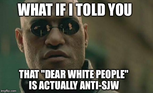 Matrix Morpheus Meme | WHAT IF I TOLD YOU; THAT "DEAR WHITE PEOPLE" IS ACTUALLY ANTI-SJW | image tagged in memes,matrix morpheus | made w/ Imgflip meme maker