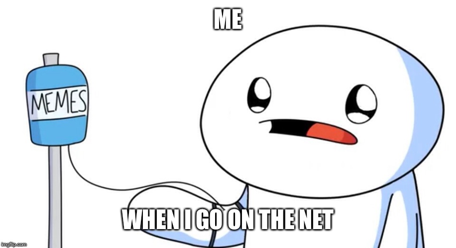 ME; WHEN I GO ON THE NET | image tagged in memes,x x everywhere | made w/ Imgflip meme maker