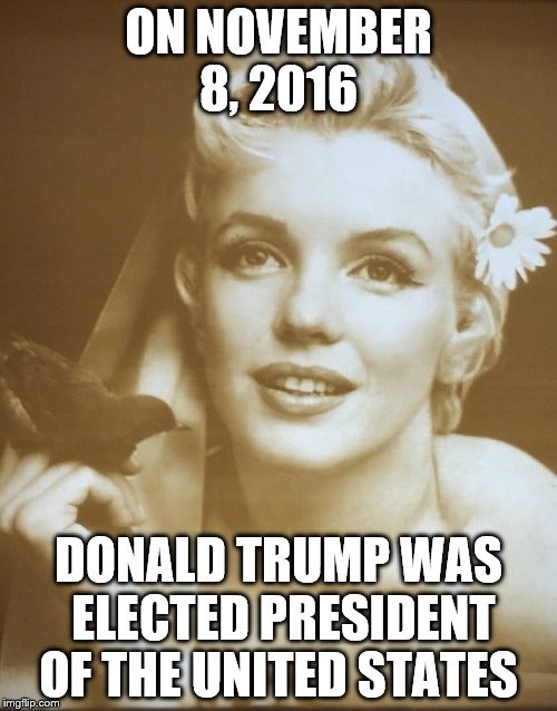 The Factual Monroe  | ON NOVEMBER 8, 2016; DONALD TRUMP WAS ELECTED PRESIDENT OF THE UNITED STATES | image tagged in marilyn monroe,donald trump | made w/ Imgflip meme maker