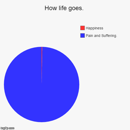 How life goes. | Pain and Suffering. , Happiness | image tagged in funny,pie charts | made w/ Imgflip chart maker