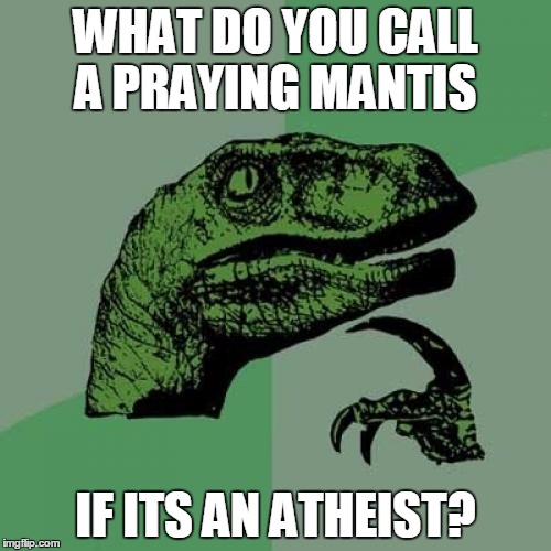 Philosoraptor | WHAT DO YOU CALL A PRAYING MANTIS; IF ITS AN ATHEIST? | image tagged in memes,philosoraptor | made w/ Imgflip meme maker