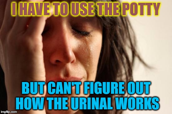 First World Problems Meme | I HAVE TO USE THE POTTY BUT CAN'T FIGURE OUT HOW THE URINAL WORKS | image tagged in memes,first world problems | made w/ Imgflip meme maker