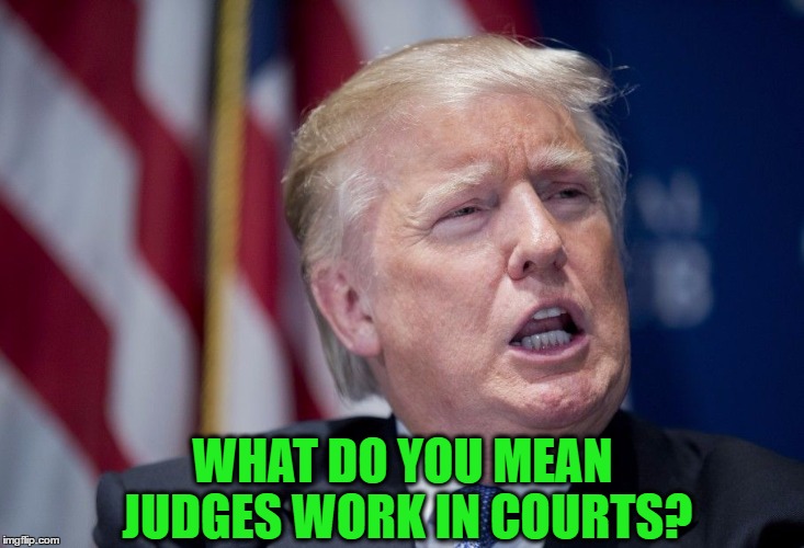 WHAT DO YOU MEAN JUDGES WORK IN COURTS? | made w/ Imgflip meme maker