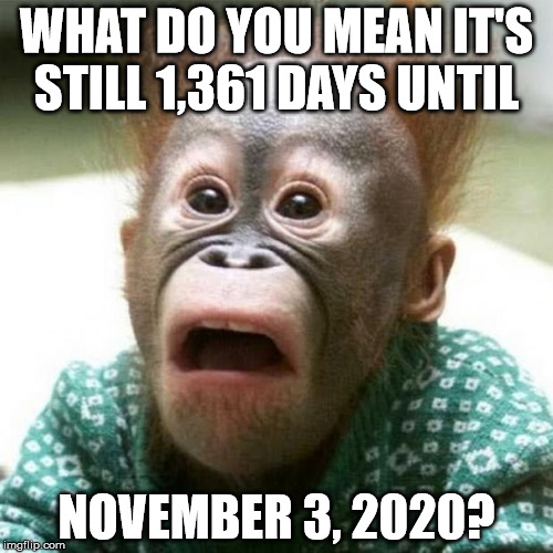 Shocked Monkey | WHAT DO YOU MEAN IT'S STILL 1,361 DAYS UNTIL; NOVEMBER 3, 2020? | image tagged in shocked monkey | made w/ Imgflip meme maker