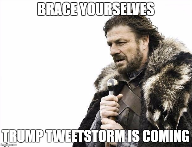 Brace Yourselves X is Coming Meme | BRACE YOURSELVES; TRUMP TWEETSTORM IS COMING | image tagged in memes,brace yourselves x is coming | made w/ Imgflip meme maker