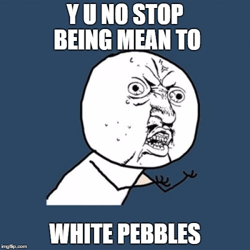 Y U No Meme | Y U NO STOP BEING MEAN TO; WHITE PEBBLES | image tagged in memes,y u no | made w/ Imgflip meme maker