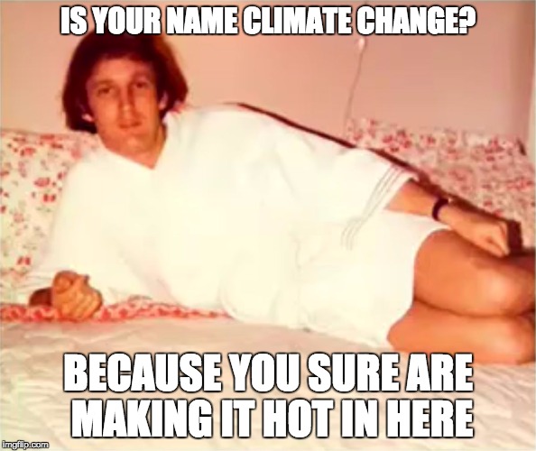 Lover-Trump | IS YOUR NAME CLIMATE CHANGE? BECAUSE YOU SURE ARE MAKING IT HOT IN HERE | image tagged in lover-trump | made w/ Imgflip meme maker