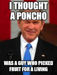 George Bush | I THOUGHT A PONCHO; WAS A GUY WHO PICKED FRUIT FOR A LIVING | image tagged in memes,george bush | made w/ Imgflip meme maker
