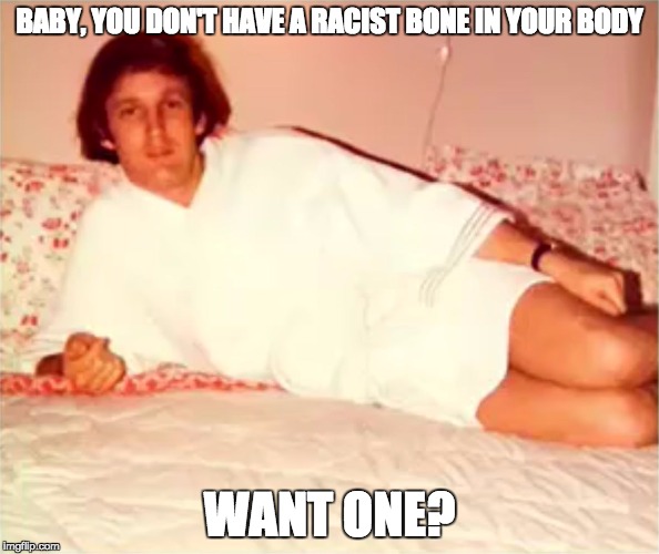 Lover-Trump | BABY, YOU DON'T HAVE A RACIST BONE IN YOUR BODY; WANT ONE? | image tagged in lover-trump | made w/ Imgflip meme maker
