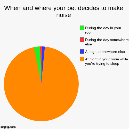 image tagged in funny,pie charts,pets,noise,annoying pets | made w/ Imgflip chart maker