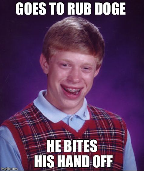 Wow, very tasty, such Brian hand! | GOES TO RUB DOGE; HE BITES HIS HAND OFF | image tagged in memes,bad luck brian,pet,doge,bite,hand | made w/ Imgflip meme maker