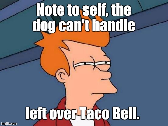 Futurama Fry Meme | Note to self, the dog can't handle left over Taco Bell. | image tagged in memes,futurama fry | made w/ Imgflip meme maker