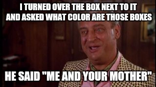 I TURNED OVER THE BOX NEXT TO IT AND ASKED WHAT COLOR ARE THOSE BOXES HE SAID "ME AND YOUR MOTHER" | made w/ Imgflip meme maker