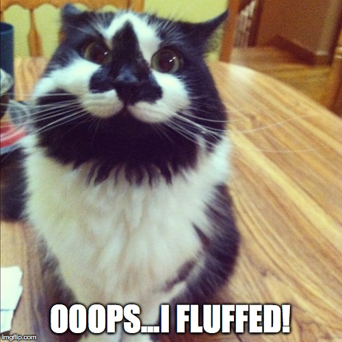 fluff kitty | OOOPS...I FLUFFED! | image tagged in oops | made w/ Imgflip meme maker