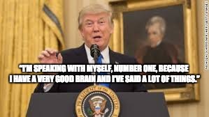 Trump's Methodology | “I’M SPEAKING WITH MYSELF, NUMBER ONE, BECAUSE I HAVE A VERY GOOD BRAIN AND I’VE SAID A LOT OF THINGS.” | image tagged in donald trump,policy issues,clueless,ill informed | made w/ Imgflip meme maker