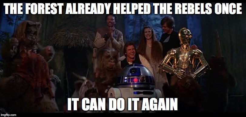 THE FOREST ALREADY HELPED THE REBELS ONCE; IT CAN DO IT AGAIN | image tagged in evil empire,rebels,forest,may the forest be with you | made w/ Imgflip meme maker