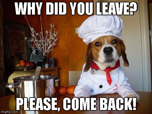 Why did you leave? dog | WHY DID YOU LEAVE? PLEASE, COME BACK! | image tagged in dog,come back,why,did,you,leave | made w/ Imgflip meme maker