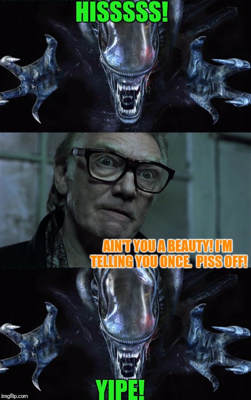 If Bricktop was in Alien | HISSSSS! AIN'T YOU A BEAUTY! I'M TELLING YOU ONCE.  PISS OFF! YIPE! | image tagged in aliens | made w/ Imgflip meme maker