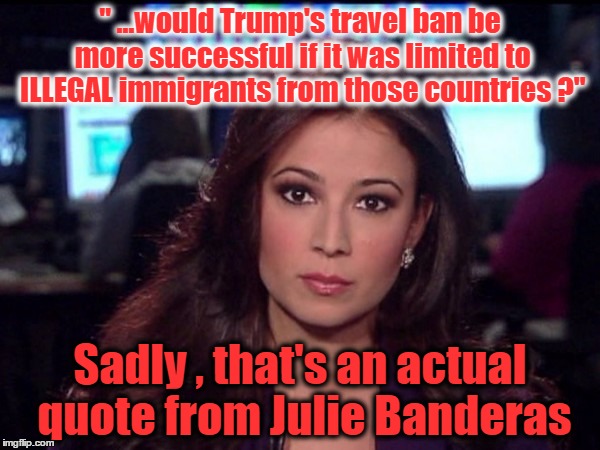 " ...would Trump's travel ban be more successful if it was limited to ILLEGAL immigrants from those countries ?"; Sadly , that's an actual quote from Julie Banderas | image tagged in dummy banderas | made w/ Imgflip meme maker