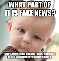 Skeptical Baby Meme | WHAT PART OF IT IS FAKE NEWS? TRUMP ACKNOWLEDGED RECIEVING THE BRITISH DOSSIER, AS WELL AS CONFIRMING THE CONTENTS THEREOF | image tagged in memes,skeptical baby | made w/ Imgflip meme maker