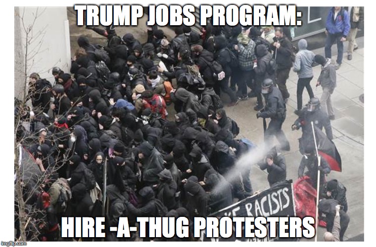 Trump hire-a-thug | TRUMP JOBS PROGRAM:; HIRE -A-THUG PROTESTERS | image tagged in trump,protesters | made w/ Imgflip meme maker