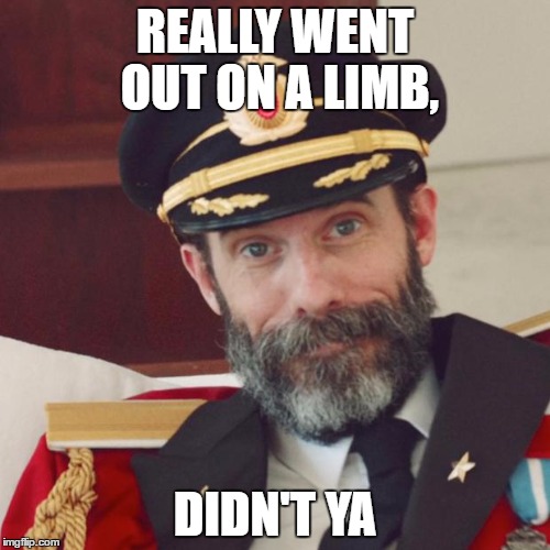 Captain Obvious | REALLY WENT OUT ON A LIMB, DIDN'T YA | image tagged in captain obvious | made w/ Imgflip meme maker