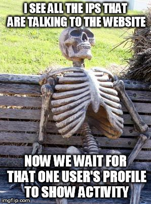 Waiting Skeleton Meme | I SEE ALL THE IPS THAT ARE TALKING TO THE WEBSITE NOW WE WAIT FOR THAT ONE USER'S PROFILE TO SHOW ACTIVITY | image tagged in memes,waiting skeleton | made w/ Imgflip meme maker