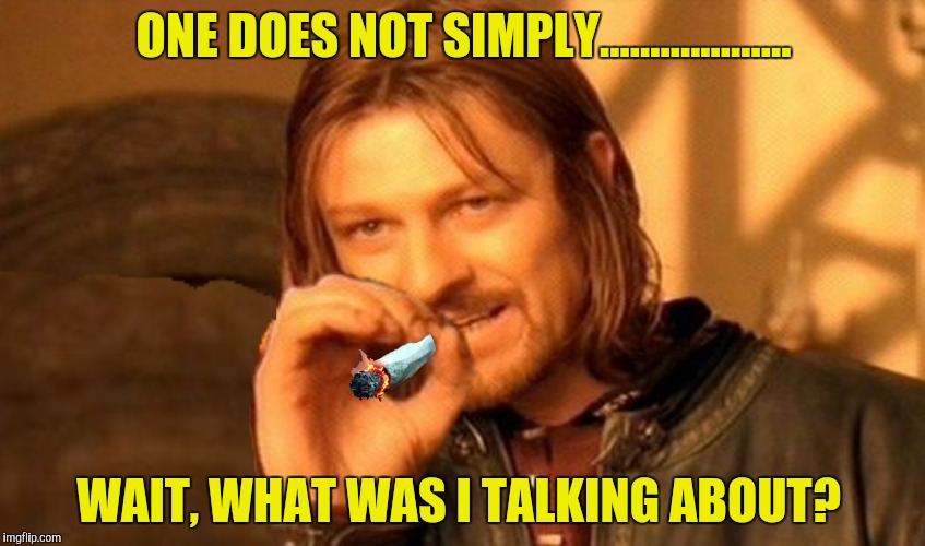 Anybody seen Samwise Ganja? |  ONE DOES NOT SIMPLY................... WAIT, WHAT WAS I TALKING ABOUT? | image tagged in memory loss,boromir | made w/ Imgflip meme maker