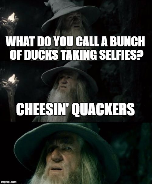 Confused Gandalf Meme | WHAT DO YOU CALL A BUNCH OF DUCKS TAKING SELFIES? CHEESIN' QUACKERS | image tagged in memes,confused gandalf | made w/ Imgflip meme maker