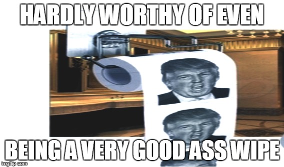 The Unworthy | HARDLY WORTHY OF EVEN; BEING A VERY GOOD ASS WIPE | image tagged in politics | made w/ Imgflip meme maker