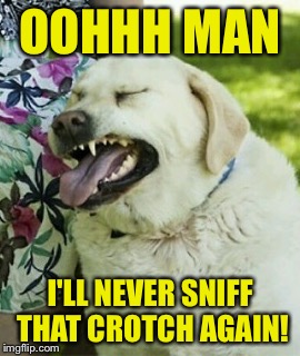OOHHH MAN I'LL NEVER SNIFF THAT CROTCH AGAIN! | made w/ Imgflip meme maker