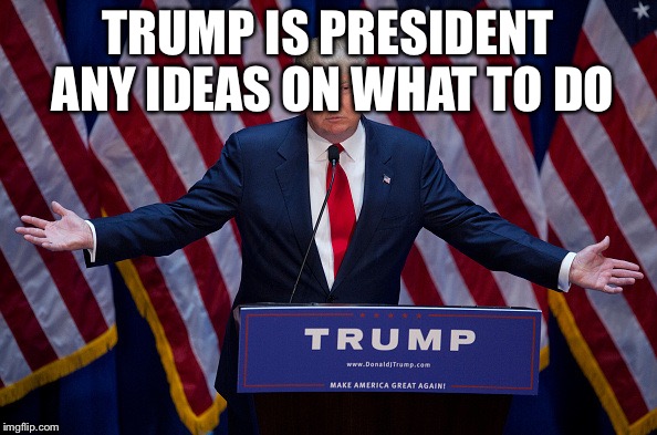 Donald Trump | TRUMP IS PRESIDENT ANY IDEAS ON WHAT TO DO | image tagged in donald trump | made w/ Imgflip meme maker