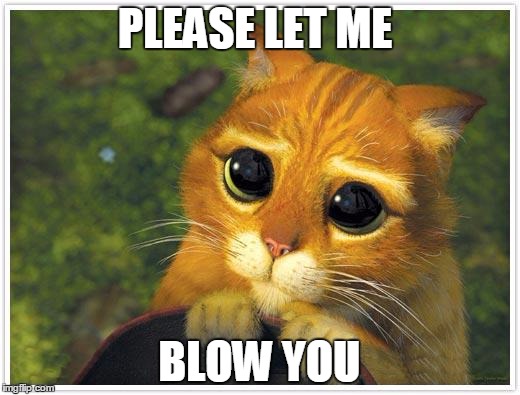 Shrek Cat | PLEASE LET ME; BLOW YOU | image tagged in memes,shrek cat | made w/ Imgflip meme maker