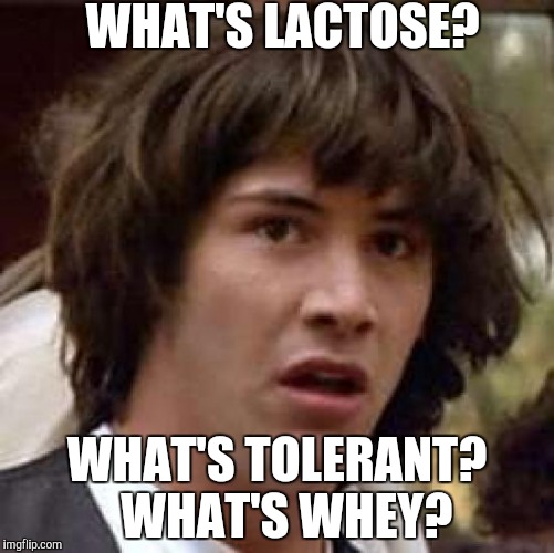 Conspiracy Keanu Meme | WHAT'S LACTOSE? WHAT'S TOLERANT? 
WHAT'S WHEY? | image tagged in memes,conspiracy keanu | made w/ Imgflip meme maker