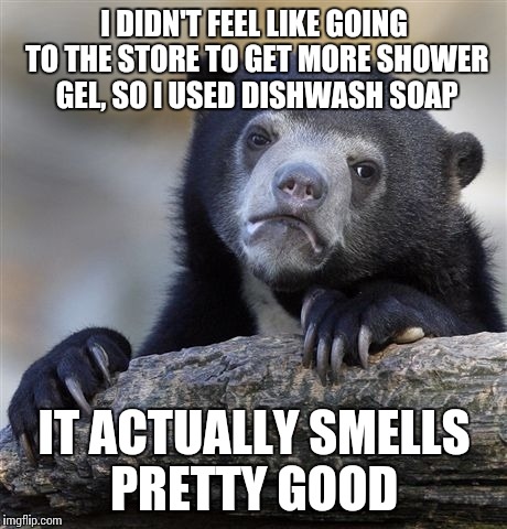 Confession Bear Meme | I DIDN'T FEEL LIKE GOING TO THE STORE TO GET MORE SHOWER GEL, SO I USED DISHWASH SOAP; IT ACTUALLY SMELLS PRETTY GOOD | image tagged in memes,confession bear | made w/ Imgflip meme maker