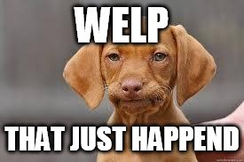 Disappointed Dog | WELP; THAT JUST HAPPEND | image tagged in disappointed dog | made w/ Imgflip meme maker