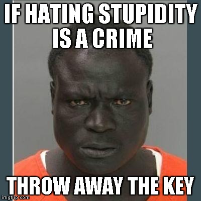 IF HATING STUPIDITY IS A CRIME THROW AWAY THE KEY | made w/ Imgflip meme maker